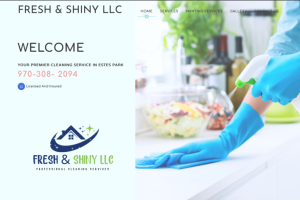 Fresjh & Shiny llc