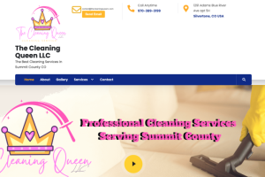 The cleaning queen llc