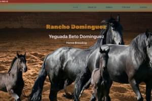 yeguada beto dominguez